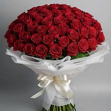 Букет 101 Красная роза Блэк Мэджик в Кузоватово