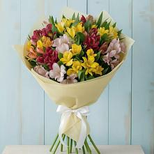 Букет цветов из:  Альстромерии в Кузоватово