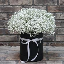 Цветочная композиция из Гипсофила в шляпной коробке в Кузоватово