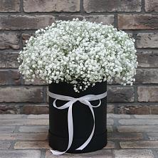 Цветочная композиция из Гипсофила в шляпной коробке в Кузоватово