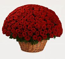 Премиум букет из: Розы в Кузоватово