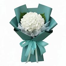 Букет цветов из:  Гортензия в Кузоватово
